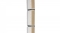 Low-frequency extension column array loudspeaker